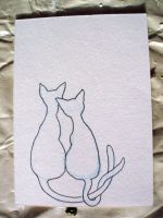 Two black cats
