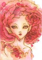 Rose Fairy