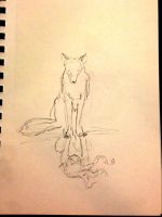 Foxflection
