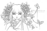 Chrysanthemum Festival