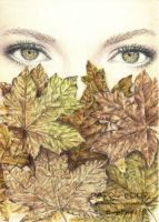 Autumn Eyes