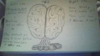 How the Brain processes a fart.
