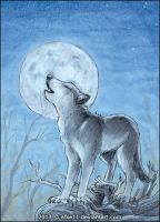 Brother to the Moon