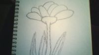 Flowers of Chains