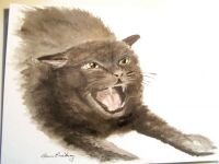 Mad kitty
