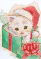 Christmas Kitten