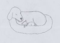 Cuddling Season