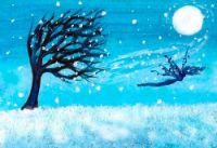 Wind & snow