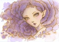 Purple Rose