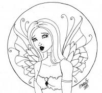 delicate wings