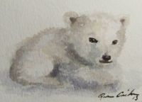 Little bear beauty
