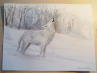 Winter wolf