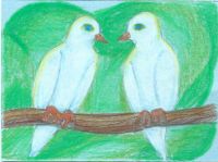 Doves