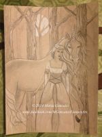 Enchanted Forest