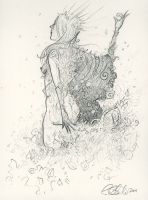 Forest Bride