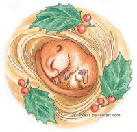 Hibernation