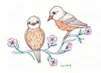 Robins