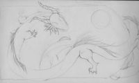 Dragon yinyang