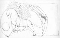 Gryphon yinyang