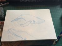 Whale\'s lullaby