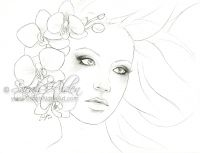 Wild Orchid