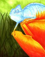 Chameleon