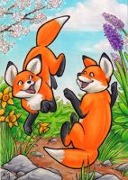 Frolicking foxes ACEO