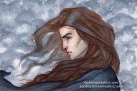 Midnight Storm