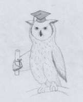 Owl Graduate