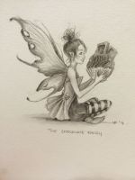 The chocolate fairy