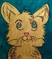 Kitty