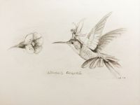 Winged friends