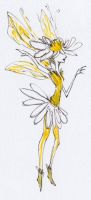Little Daisy Fairy