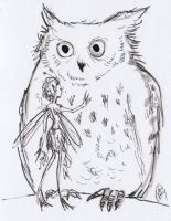 Fairy and Owl