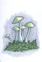 Greenkey