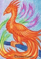 Phoenix