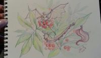 Rowan Tree Dragon