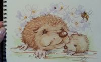 Hedgehog Pride