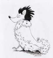 Hedgehog Pride