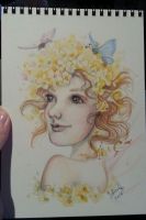 Buttercup Fairy