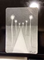 Light the path