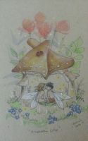 Mushroom Love