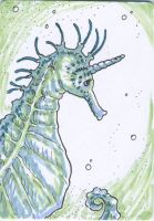 Sea Unicorn