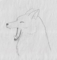 Sleepy fox