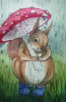 Nature\'s Umbrella
