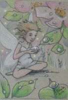 Dew Drop Fairy