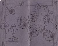 Goldfish Meets Mushroom