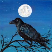 Raven Moon