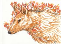 Autumn Wolf