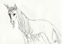 Winter Unicorn